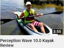 Perception Wave 10